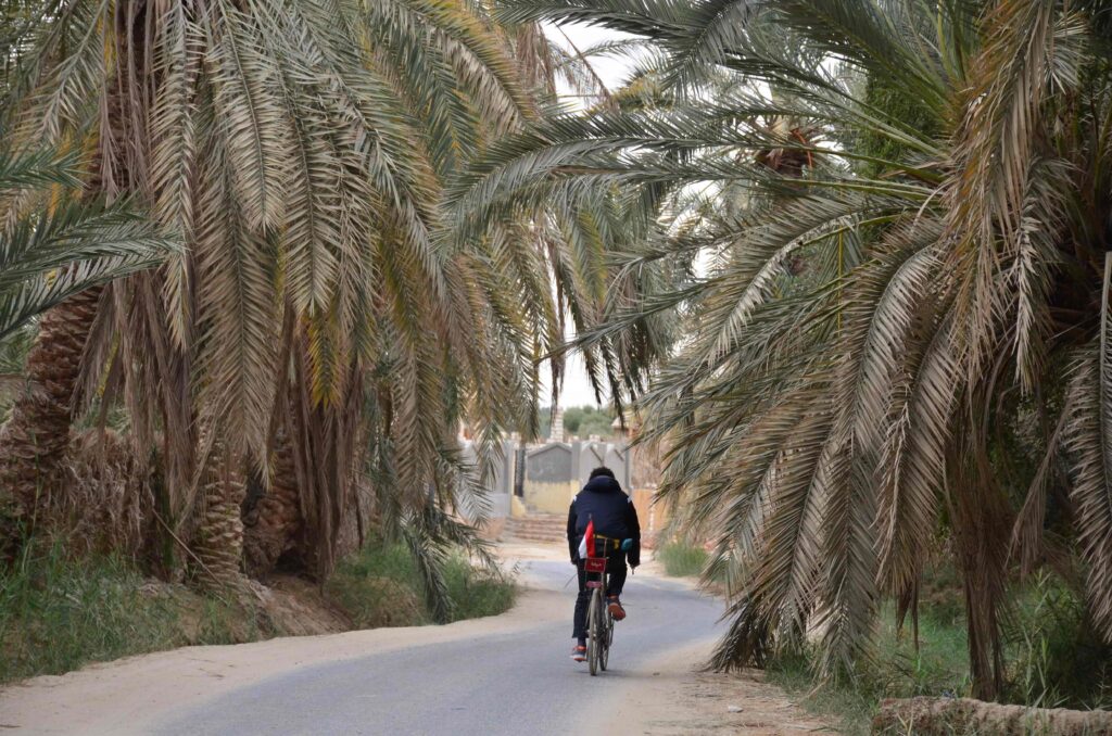 siwa egypt travel